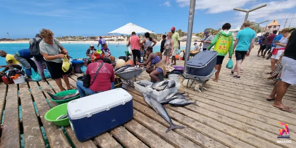 Pier Santa Maria - Fishmarket - Santa Maria - Cape Verde