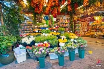 Bloemenmarkt - Amsterdam - Nederland