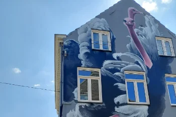 Street art route - Tilburg - Nederland
