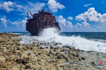 Miss Ann - Willemstad - Curaçao