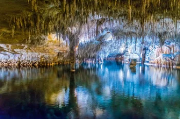 Coves del Drach - Porto Cristo - Spanje