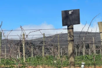 Ataraxia Wines - Hermanus - Zuid-Afrika