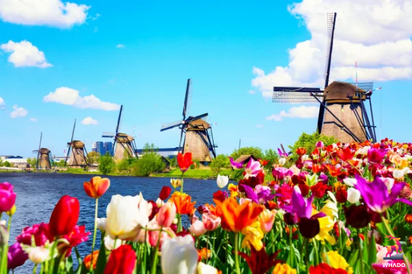 UNESCO Werelderfgoed Kinderdijk - Kinderdijk - Nederland