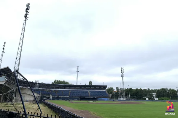 Neptunus Baseball & Softball - Rotterdam - Nederland