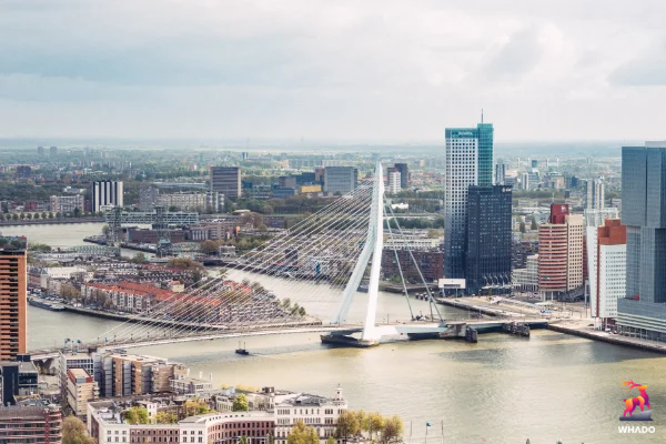 Erasmusbrug - Rotterdam - Nederland