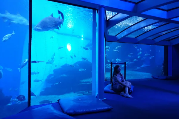 Palma Aquarium - Palma - Spanje