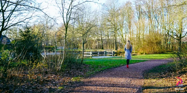 Wijkpark Hesselingen - Meppel - Nederland