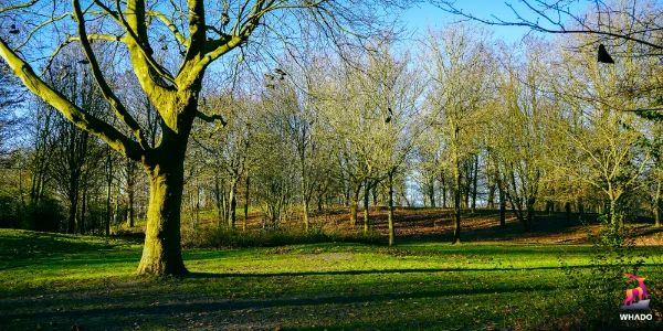 Wijkpark Hesselingen - Meppel - Nederland