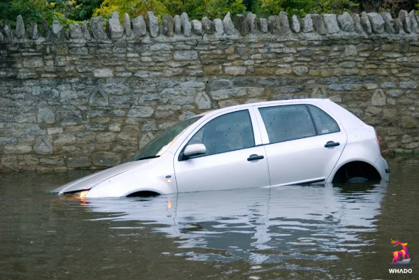 Car in water image